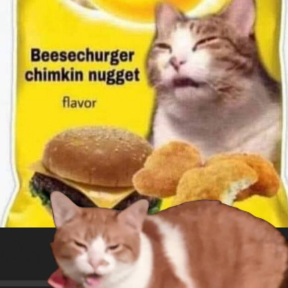 Meet your Posher, Courtney - Picture 3 of 5